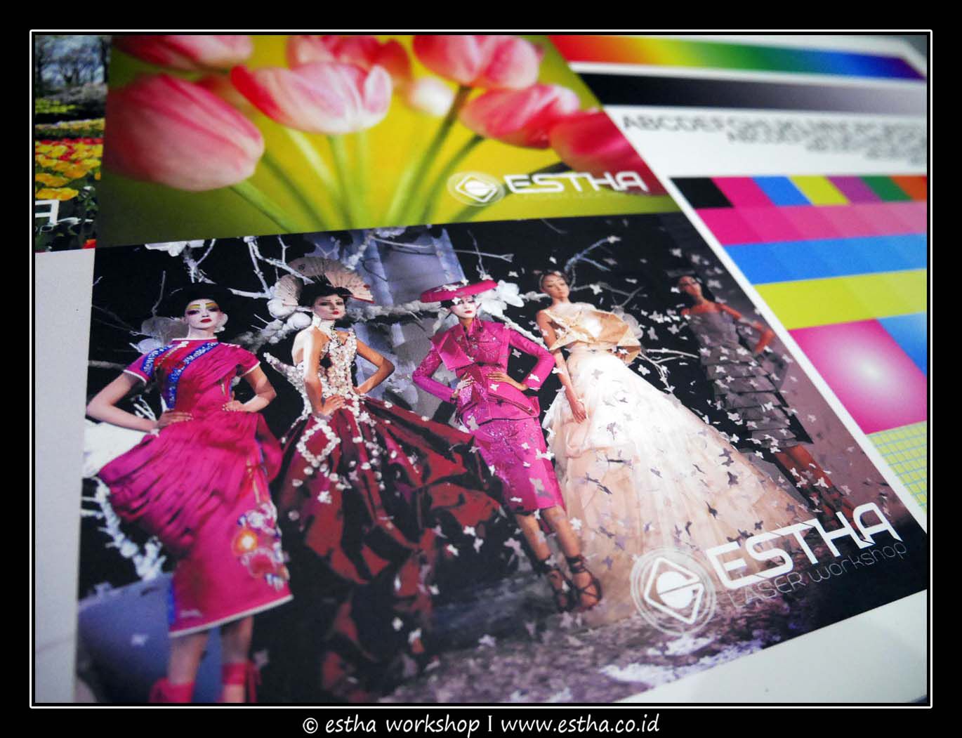 Print - PP Paper Matte-Albatros Print - PP Paper Matte-Albatros